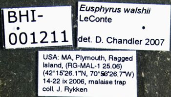 Media type: image;   Entomology 613514 Aspect: labels